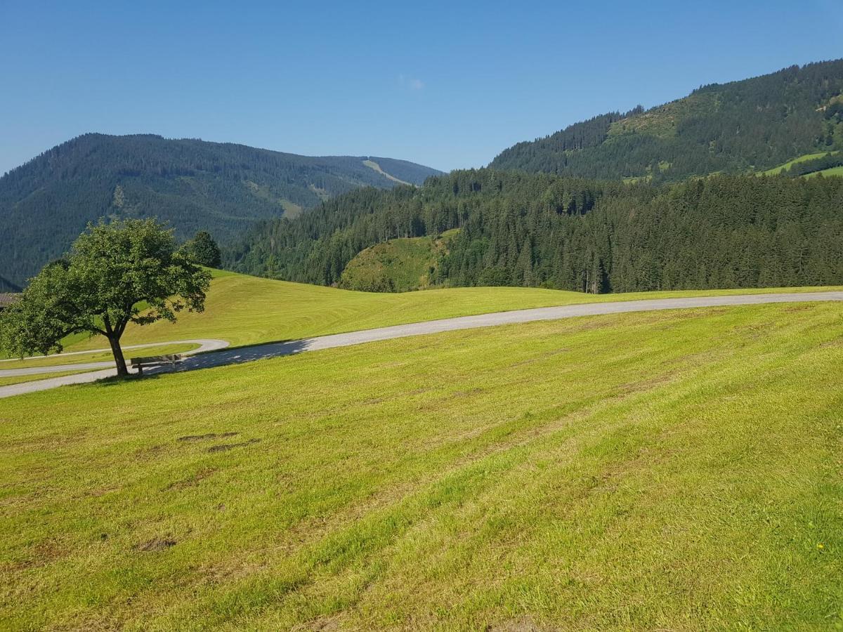 Appartement Muehlebnerhof Ramsau am Dachstein Exteriör bild