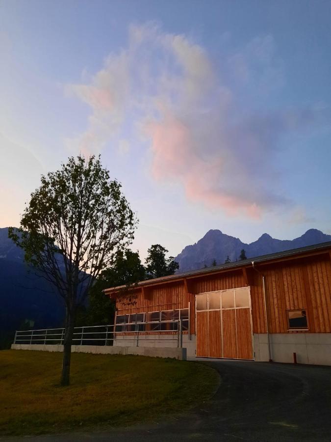 Appartement Muehlebnerhof Ramsau am Dachstein Exteriör bild