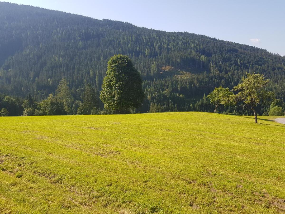 Appartement Muehlebnerhof Ramsau am Dachstein Exteriör bild